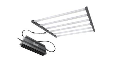 Why the Lumii Black 720w LED is Worth Every Penny