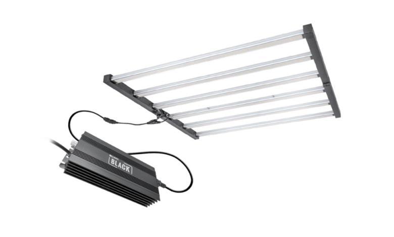 Why the Lumii Black 720w LED is Worth Every Penny
