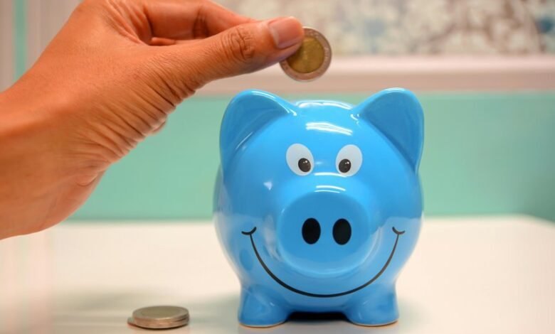 sbi bank financial input