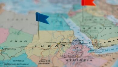 tata ethiopia registration input