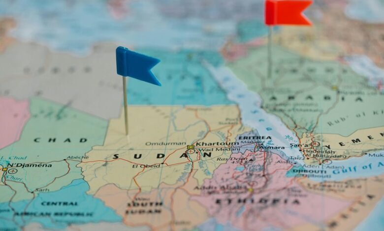 tata ethiopia registration input