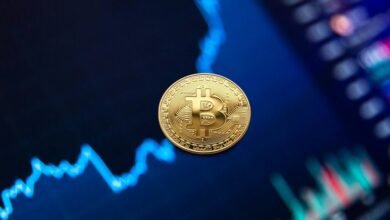 axis blue fund investment