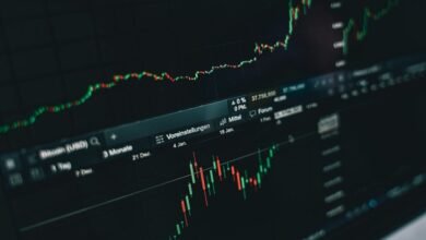 market insights and data