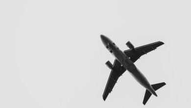 maximize roi paid media