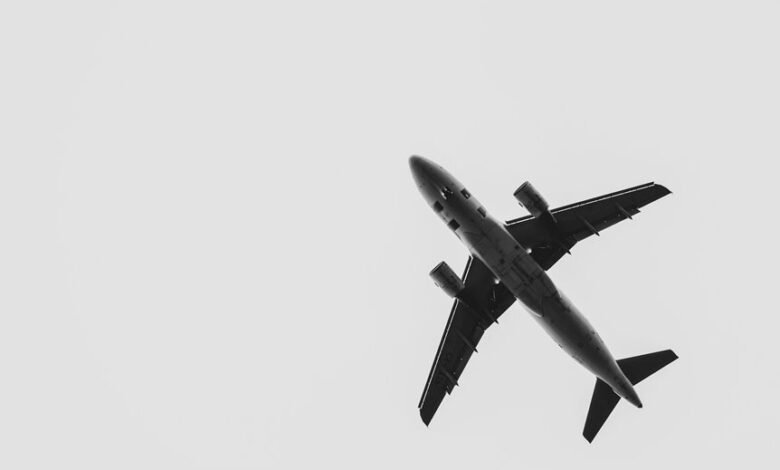 maximize roi paid media