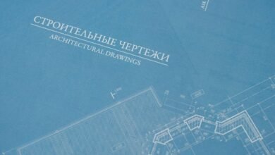 organic growth traffic strategy