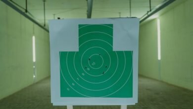 paid media roi analysis