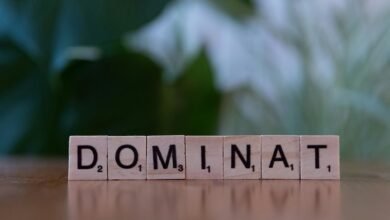 search authority blueprint mastery