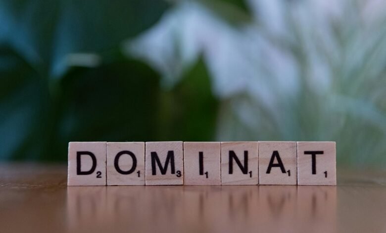 search authority blueprint mastery