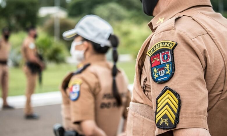 search authority for ranking