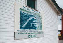 dynamic authority mapping framework