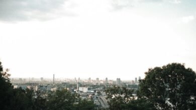 market value growth strategy