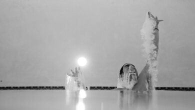 momentum edge performance analysis