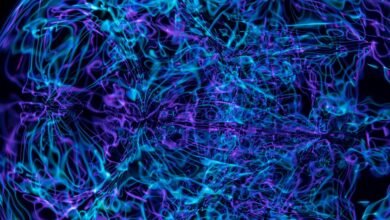 neural pulse apex beam