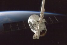 vertex beam growth orbit